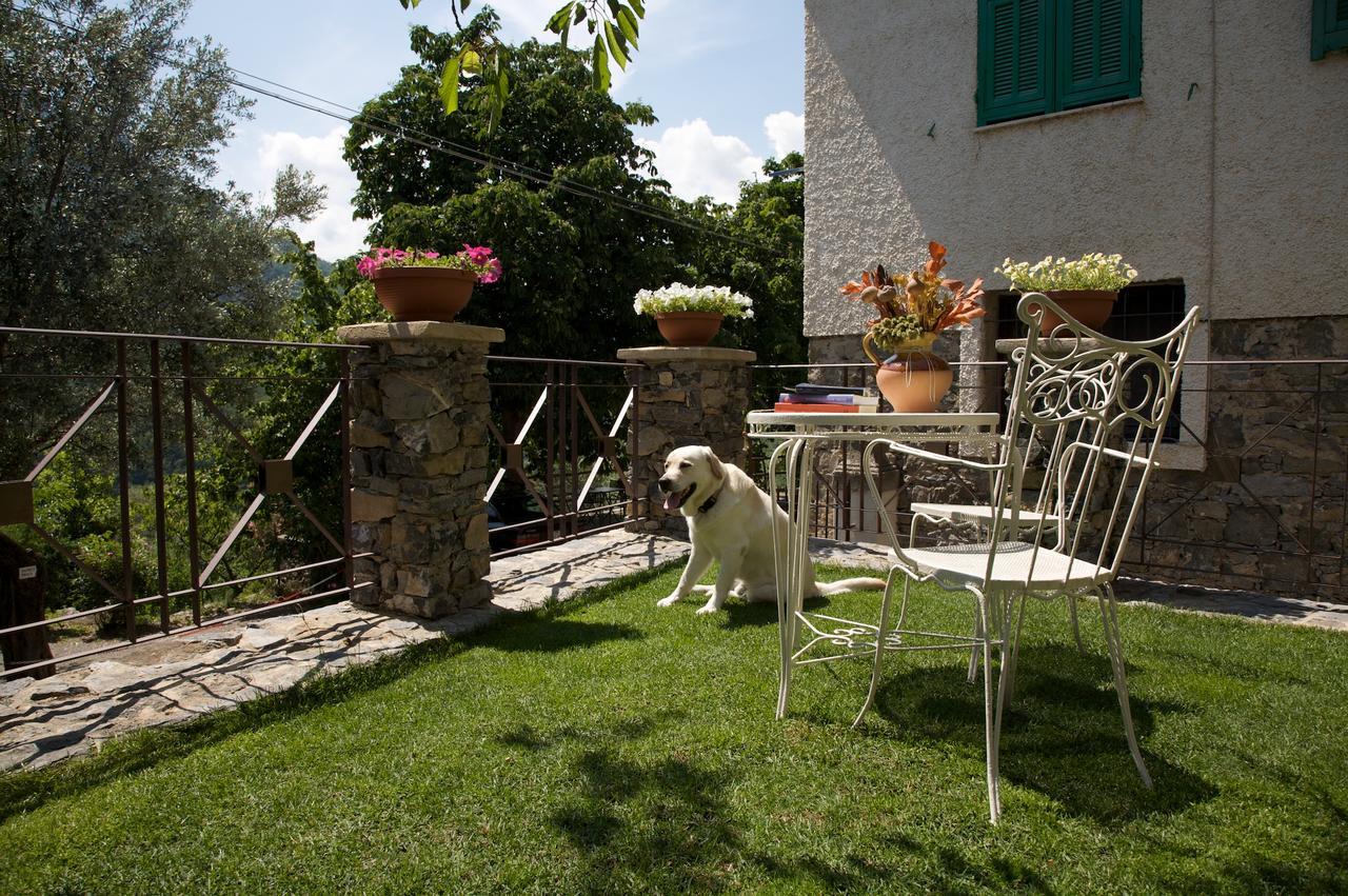 La Casa Dei Nonni Castelbianco Bed & Breakfast Colletta Bagian luar foto